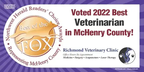Voted 2022 Best Veterinarian in McHenry County!